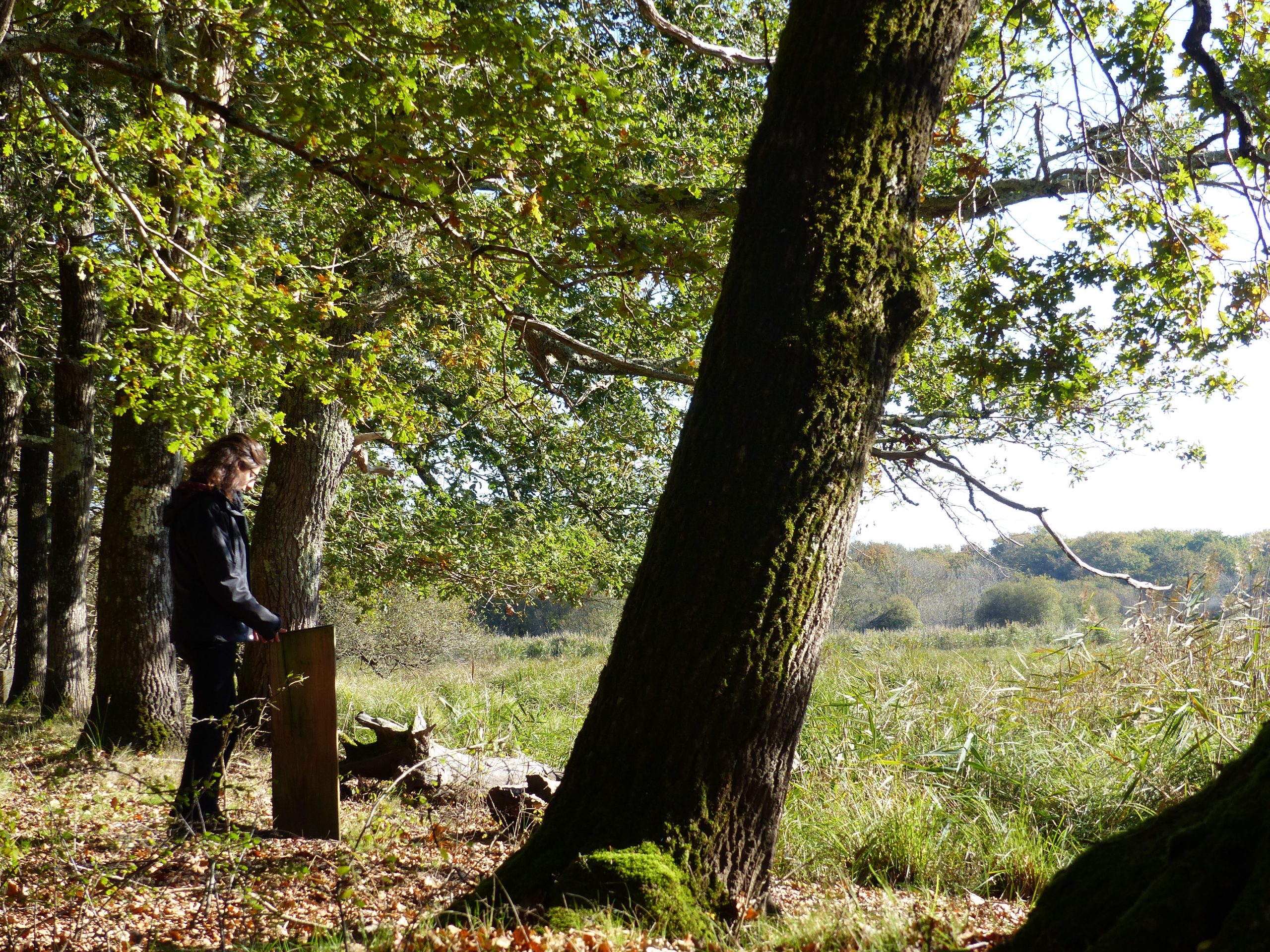 Le sentier du Marais du Gua