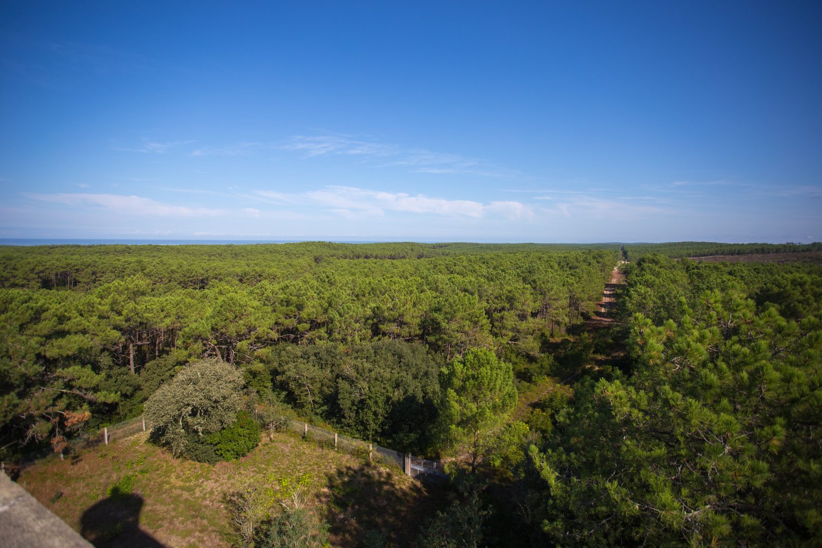Tour de Gironde à vélo : étape 9 – Lacanau Océan / Hourtin Plage