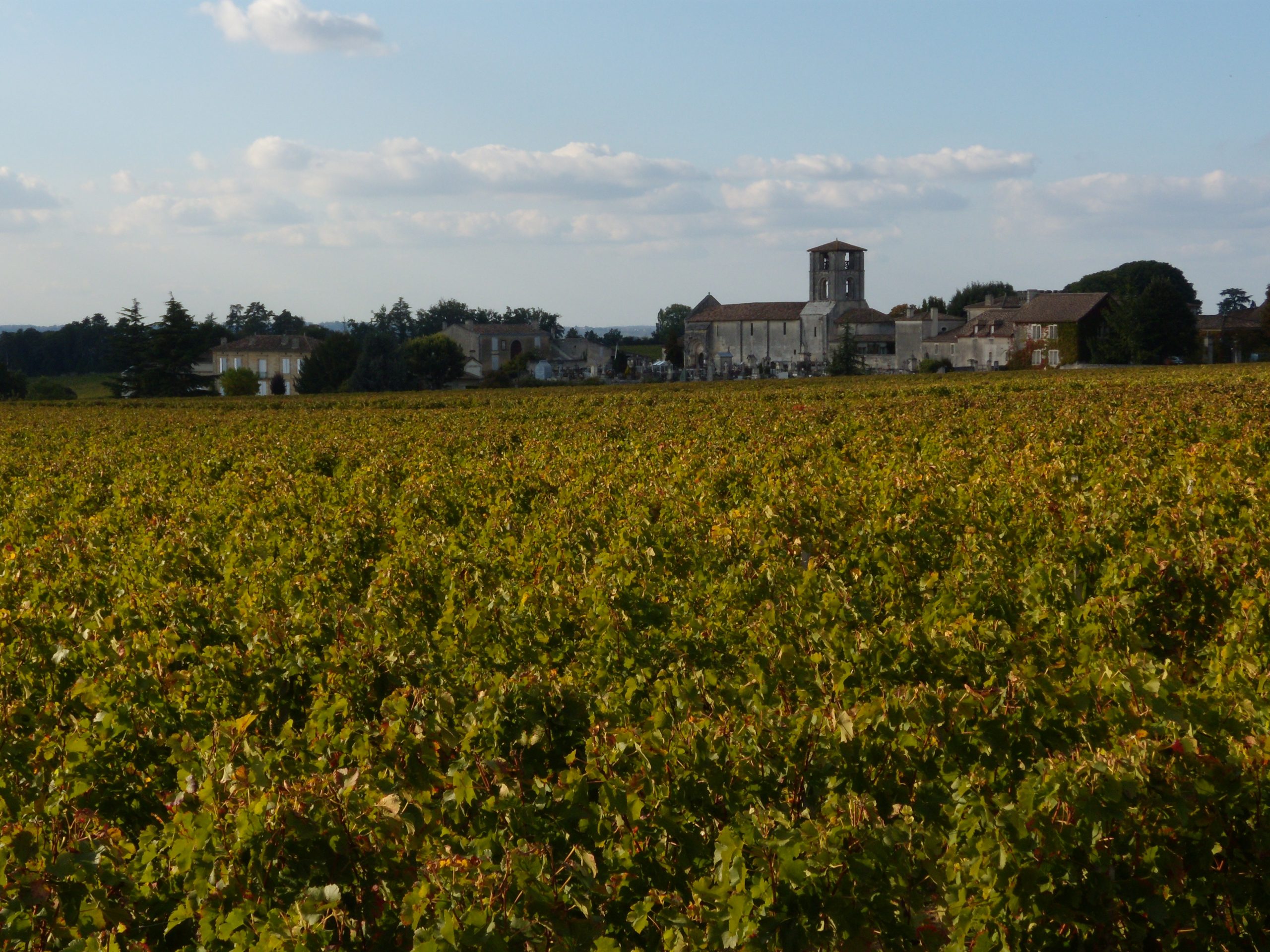 Boucle pédestre : Aux portes de Saint-Emilion