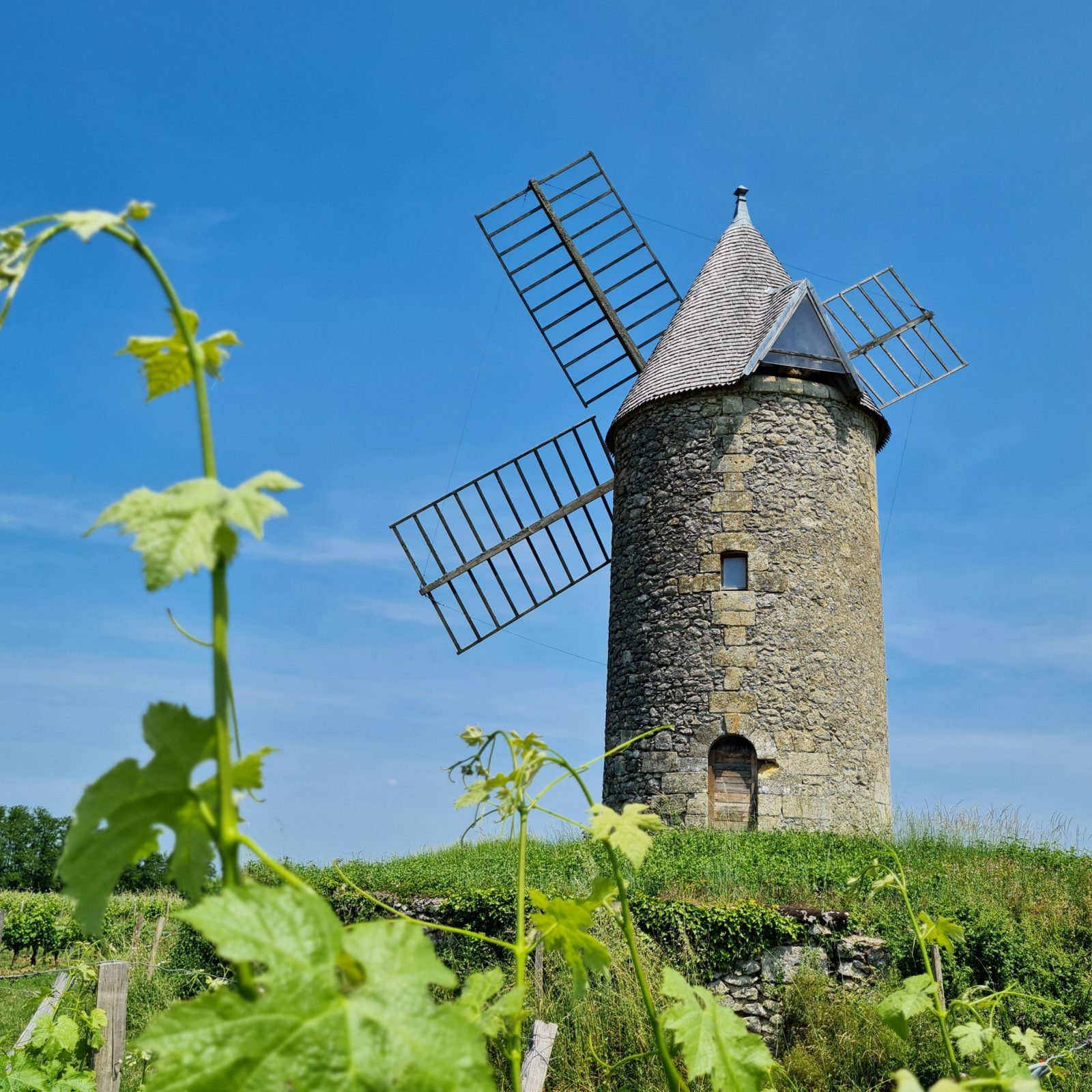 Du Lyssandre à l&rsquo;Engranne