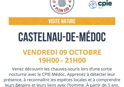 Sortie nature « Découverte des chauves-souris »