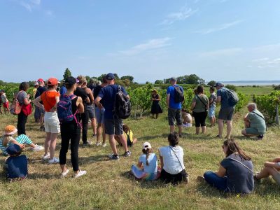 Vignobles en Scène : L&rsquo;Échappée Vigneronne au château Tour Castillon