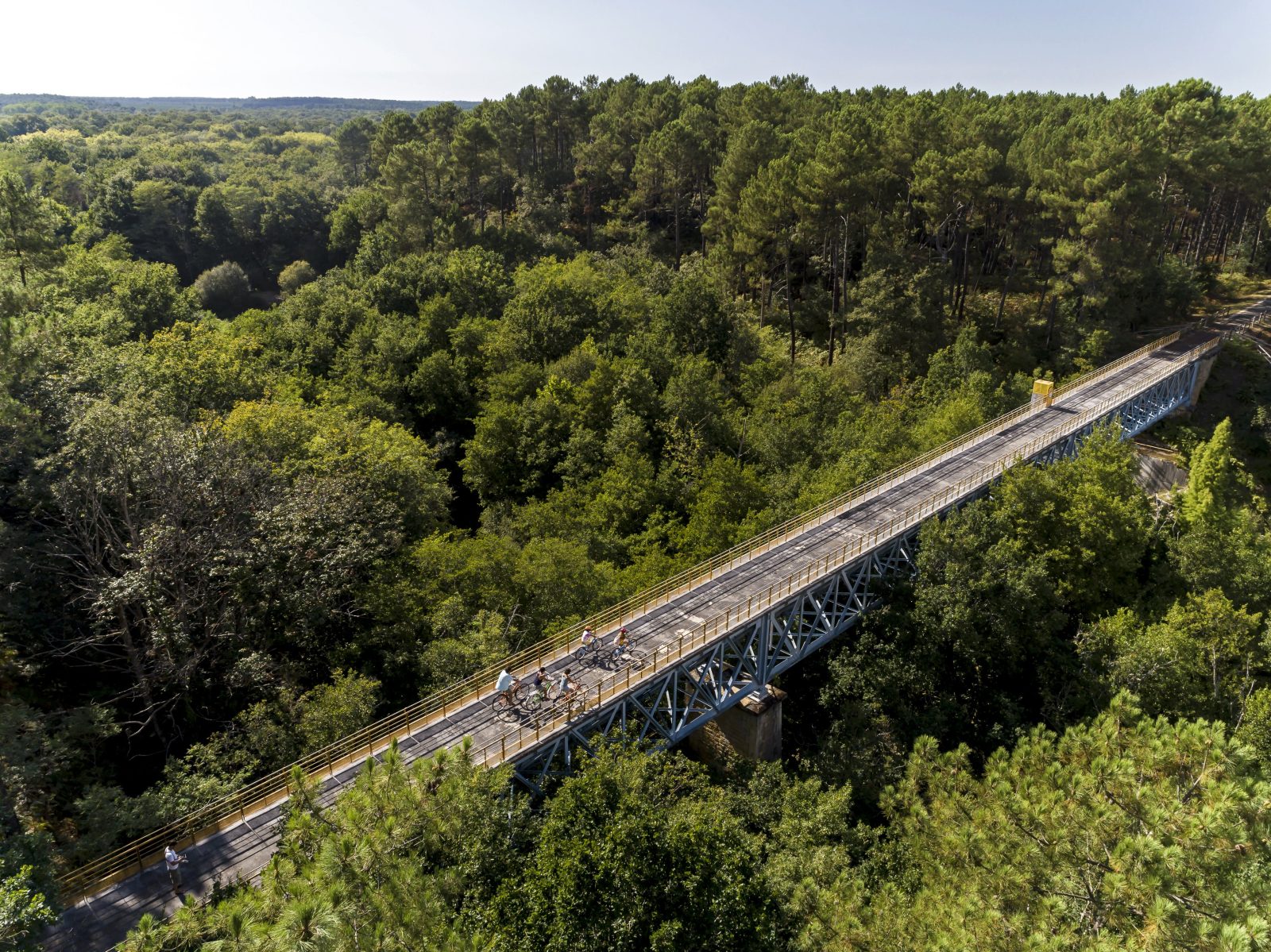 Belin-Béliet : sur les traces d’Aliénor d’Aquitaine à pied