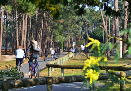 Aire de pique-nique et halte de repos vélos de Piqueyrot