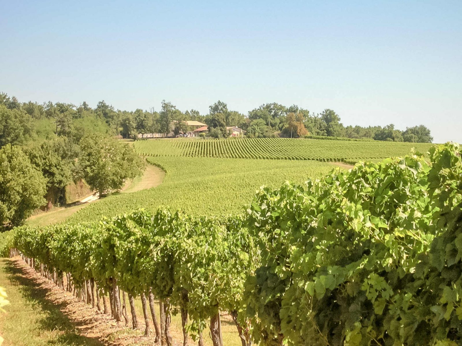 Circuit des vignobles
