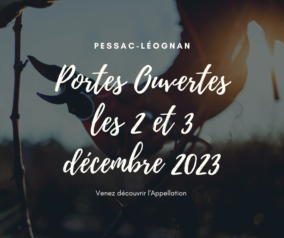 Visuel attente Pessac-Léognan – 1