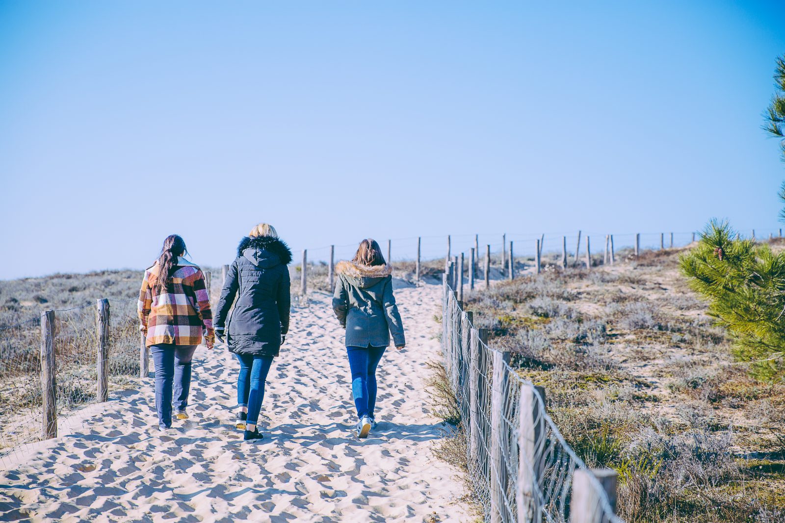 L&rsquo;abécédaire des Dunes du Cap Ferret