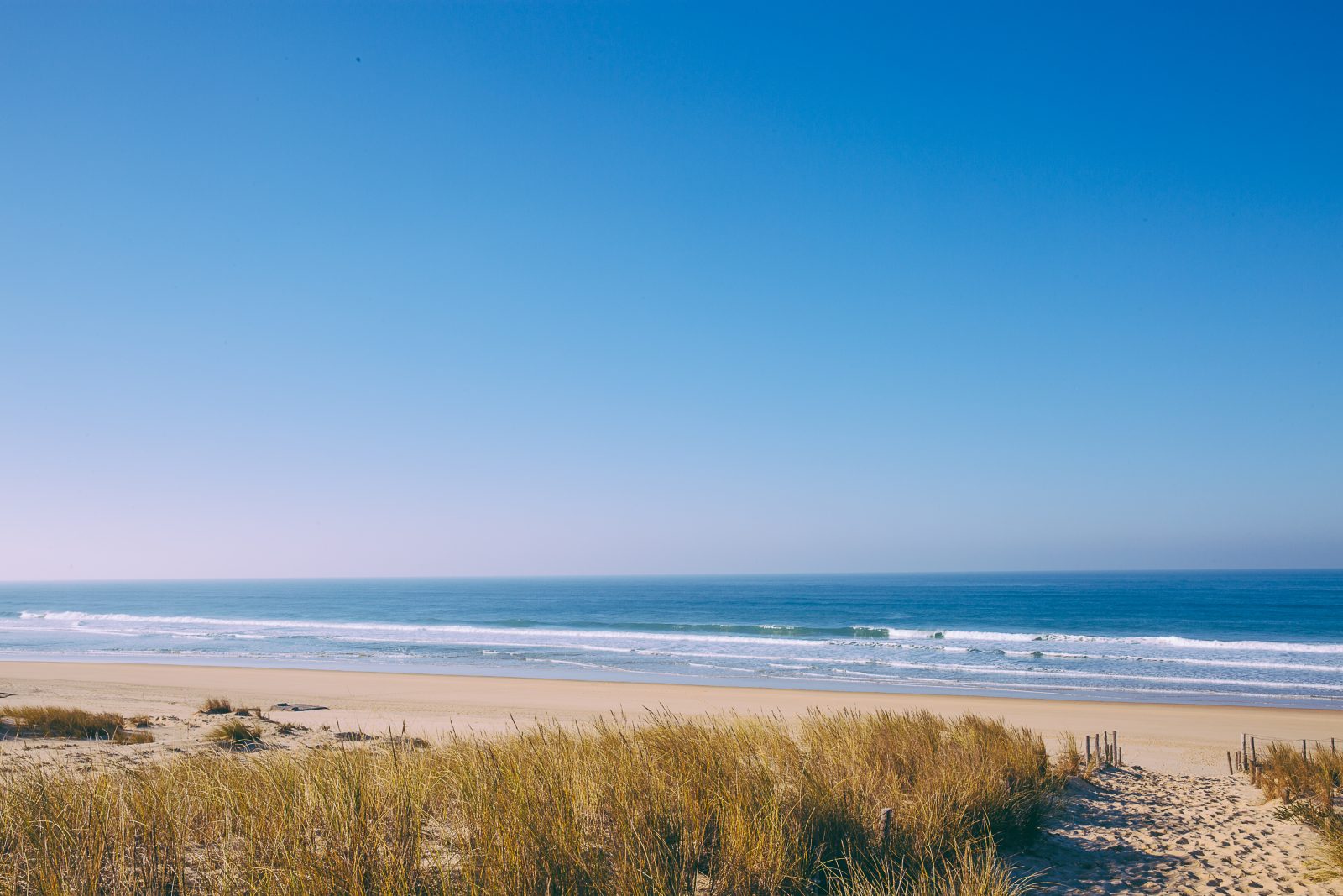 L&rsquo;abécédaire des Dunes du Cap Ferret