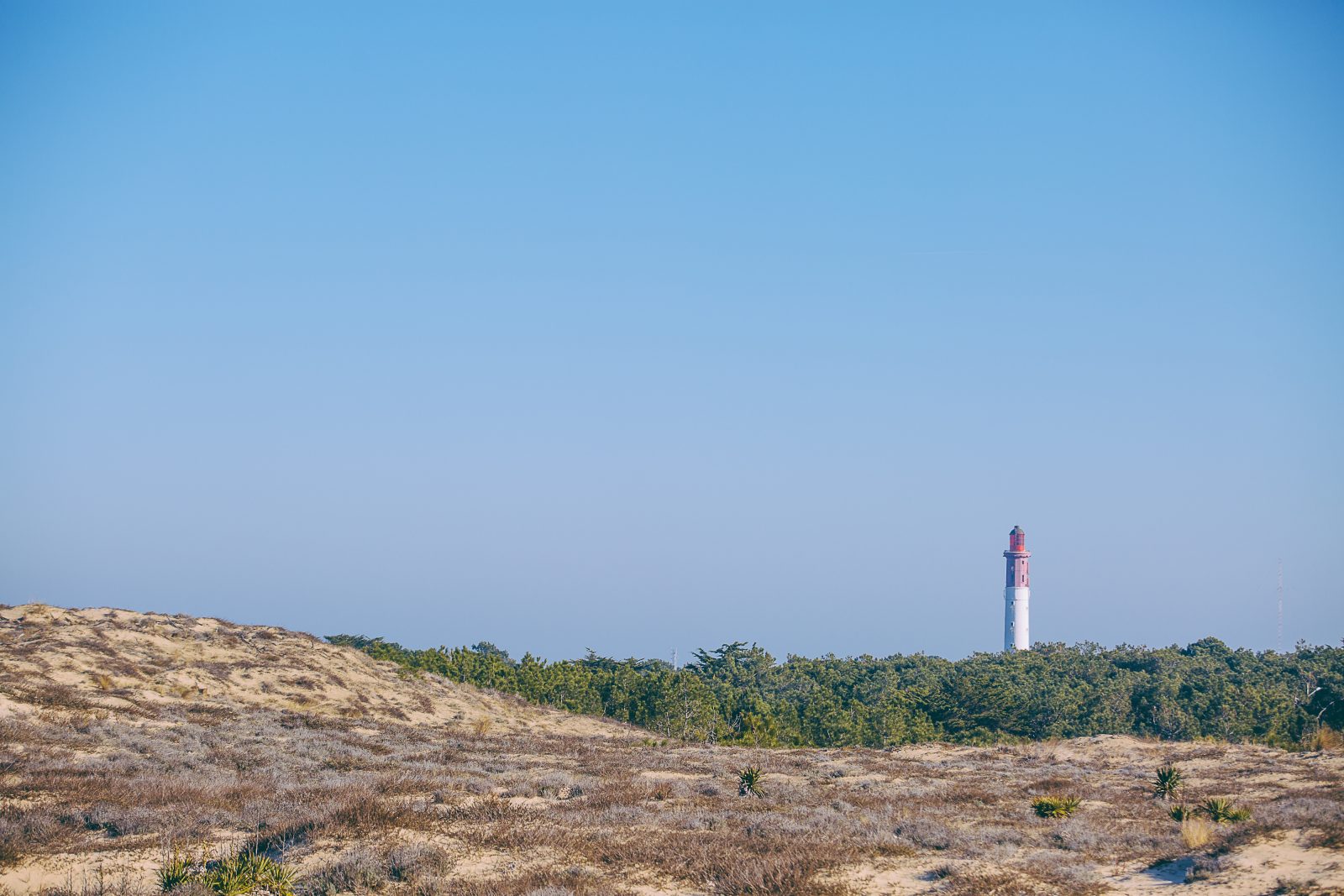 L&rsquo;abécédaire des Dunes du Cap Ferret