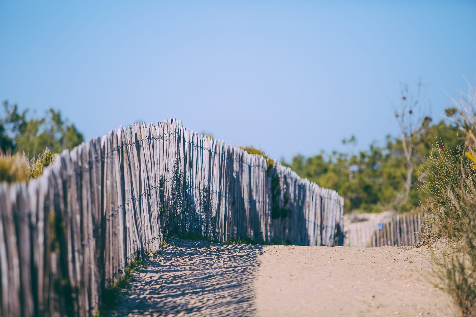 L&rsquo;abécédaire des Dunes du Cap Ferret