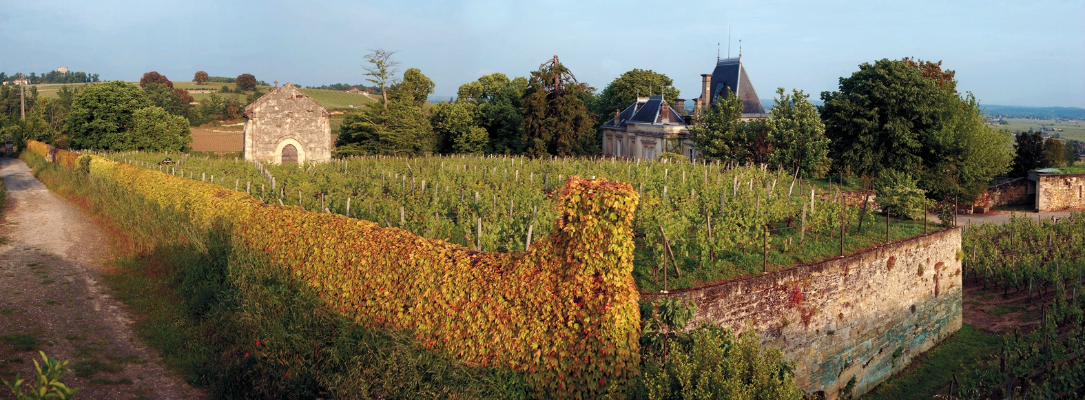 Boucle pédestre : Aux portes de Saint-Emilion