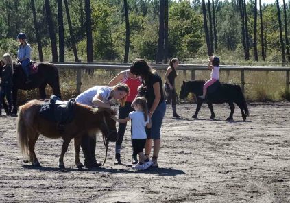 Pines Equestrian Center