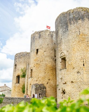 Château de Villandraut