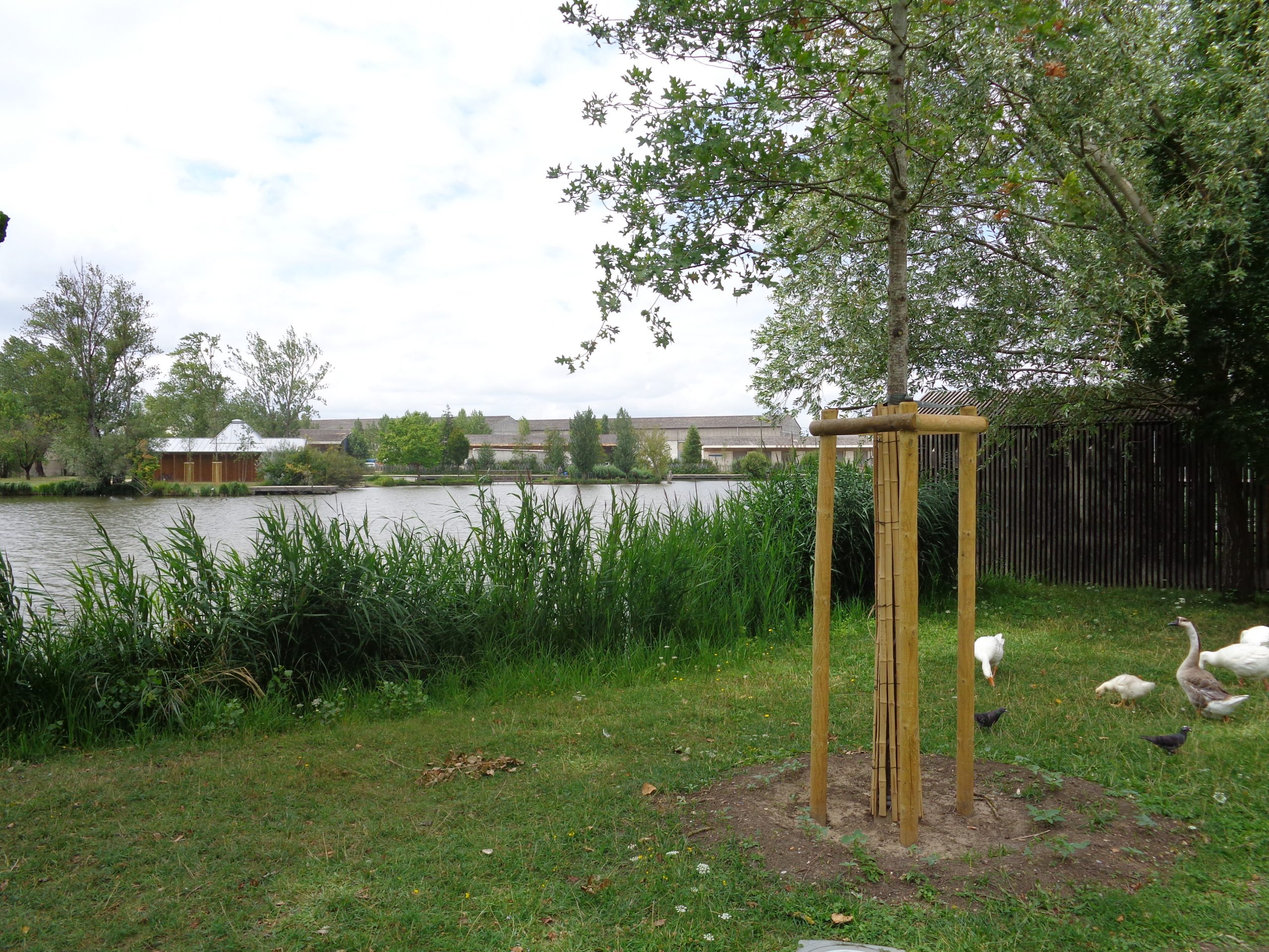 Balade à roulettes : Le parc des étangs – Impraticable