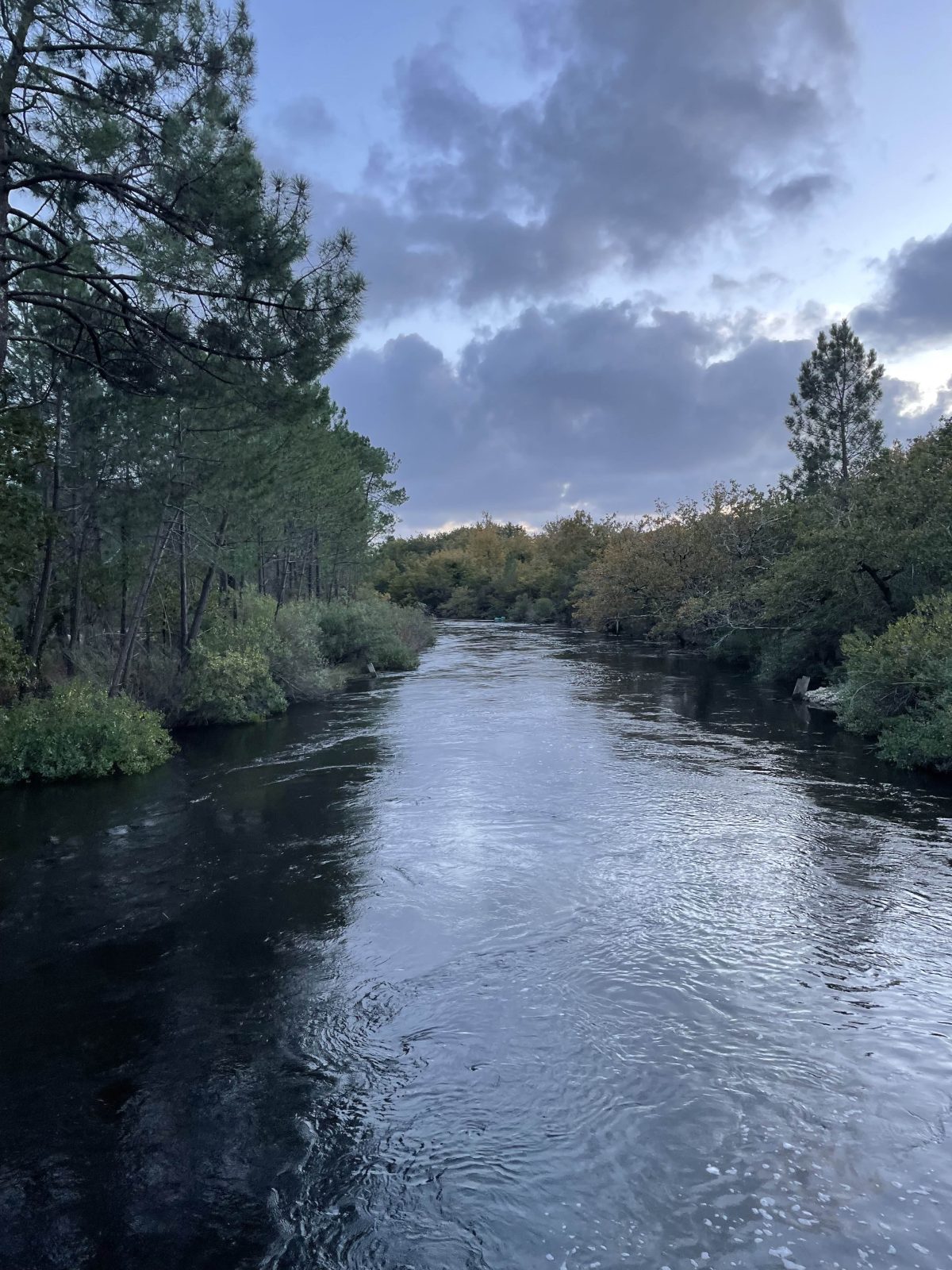 Le canal des étangs – Lège
