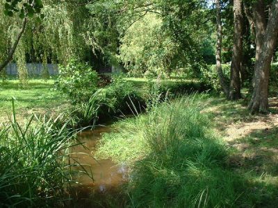 Histoire d&rsquo;un ruisseau
