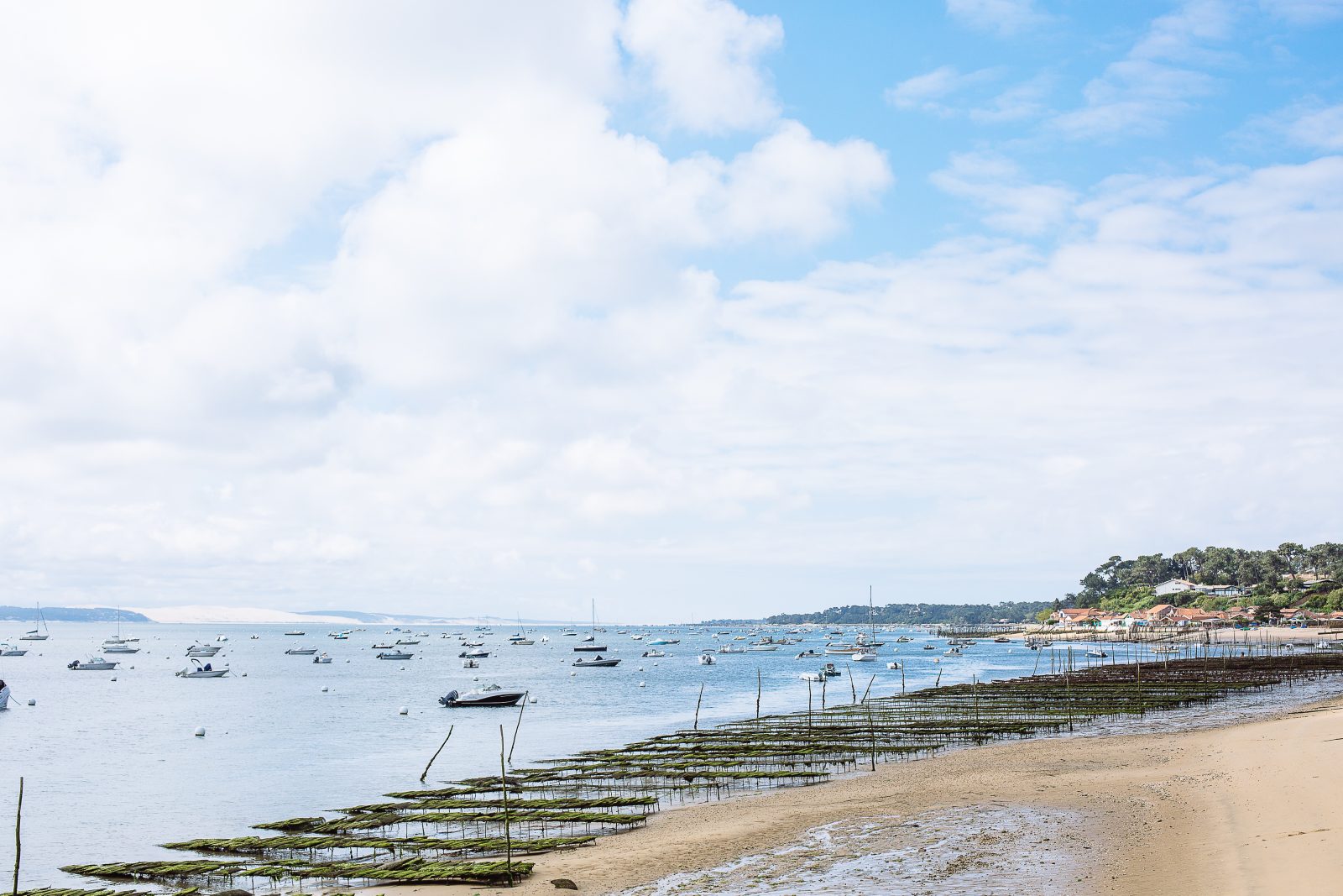 Plages du Bassin – Le Canon/La Vigne