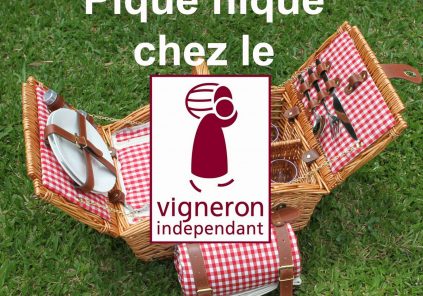 Picknick bij de onafhankelijke wijnmaker in Château Hourtin-Ducasse