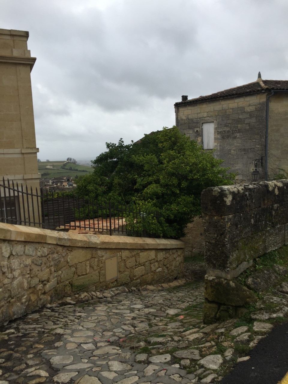 Balade à roulettes : Saint Emilion