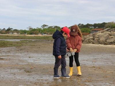 Les trésors cachés à marée basse